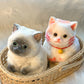 🎁Best Gift😻Cute and soft cat-shaped toy💕