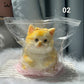 🎁Best Gift😻Cute and soft cat-shaped toy💕