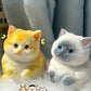 🎁Best Gift😻Cute and soft cat-shaped toy💕