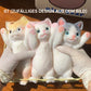 🎁Best Gift😻Cute and soft cat-shaped toy💕