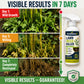 🌿🔥 50 % RABATT NU! 🛑 Ogräsmedel för Trädgård & Uppfart – Hjälper till att Döda Ogräs Vid Rötterna & Minska Återväxt 🌱✨