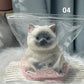 🎁Best Gift😻Cute and soft cat-shaped toy💕