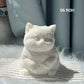 🎁Best Gift😻Cute and soft cat-shaped toy💕