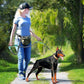 🐕‍🦺🐕‍🦺🐕‍🦺50% rabatt under en begränsad tid  🐕‍🦺  Elastiskt Hopfällbart Reflexband Draglina