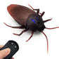 ✨SIDSTA DAGENS REA 50% RABATT✨Remote Control Insects Toy