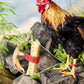 🐔 50% RABATT! 🔧 Justerbara snäppband för fjäderfäben – Mjuk plast, andningsbar design & enkel att öppna/stänga – perfekt för att märka och hålla reda på dina fåglar i hönshuset 🌿