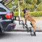🎉 TIDSBEGRÄNSAT ERBJUDANDE – 50% RABATT! 🐕 Bärbar, vikbar, halkfri hundtrappa för bil – Robust stöd, förstärkta handtag & kompakt design ✨